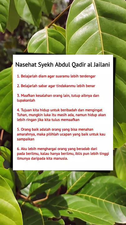 nasehat Syekh Abdul Qadir al Jailani #shorts #syekhabdulqodir #storyislami