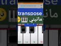 انستري مانيني ترند التيكتوك اورغ راي