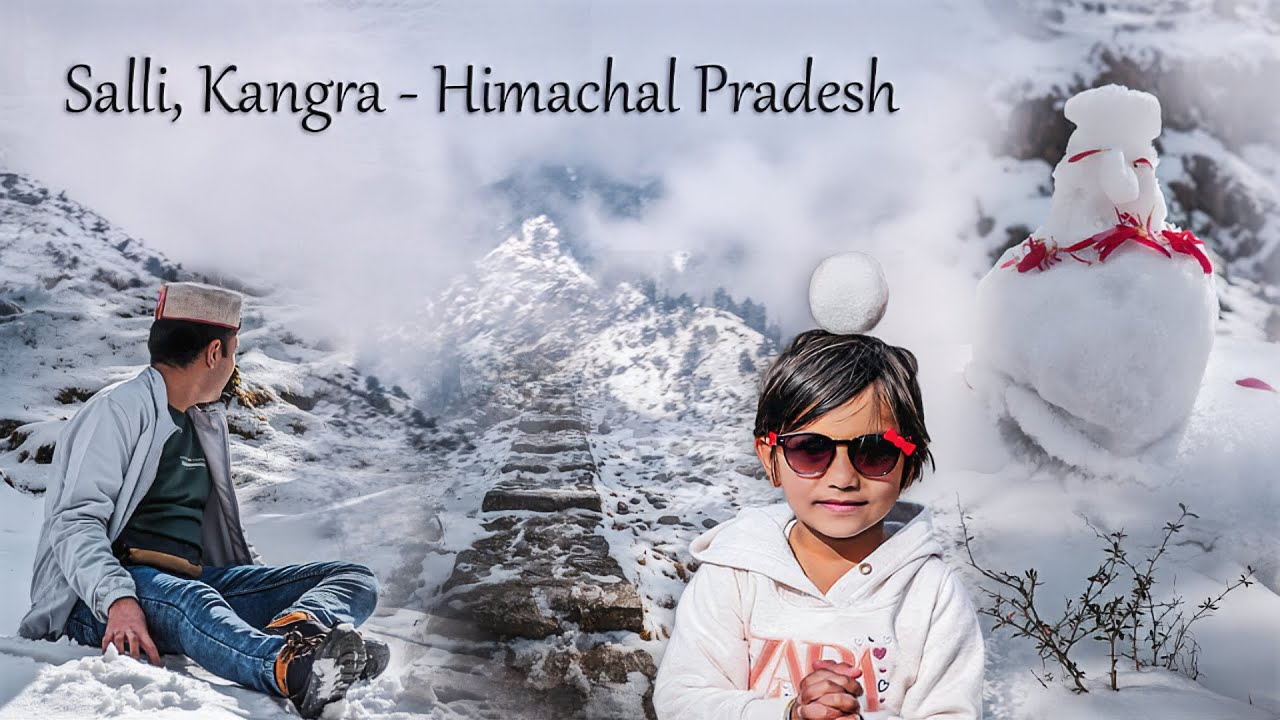 Snowfall At Salli Kutharna 2024 | Kangra | Himachal Pradesh