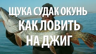 ЛОВЛЯ на ДЖИГ ЩУКИ, ОКУНЯ, СУДАКА. РЫБАЛКА в НИЖЕГОРОДСКОЙ ОБЛАСТИ на СПИННИНГ(Спиннинговая ловля на джиг хищной рыбы щуки, окуня, судака. Рыбалка осенью на спиннинг в Нижегородской обла..., 2016-07-25T07:00:01.000Z)