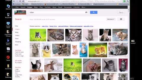 Copy Paste Irfanview