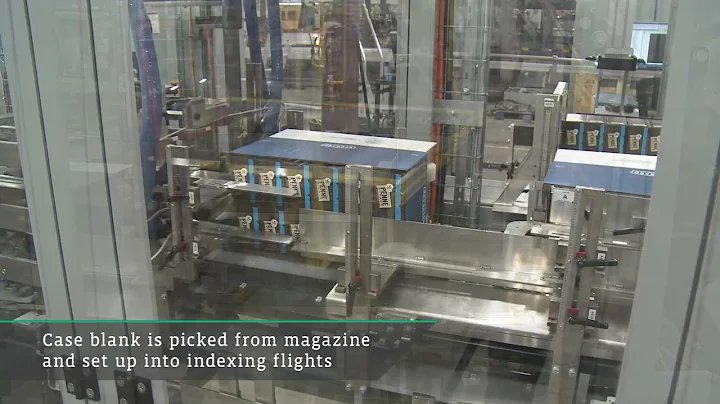 Cartons Packed into Display Cases with Infeed Accumulation