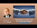 Как узнать от Бога ли это перспективное предложение? | Алексей Опарин