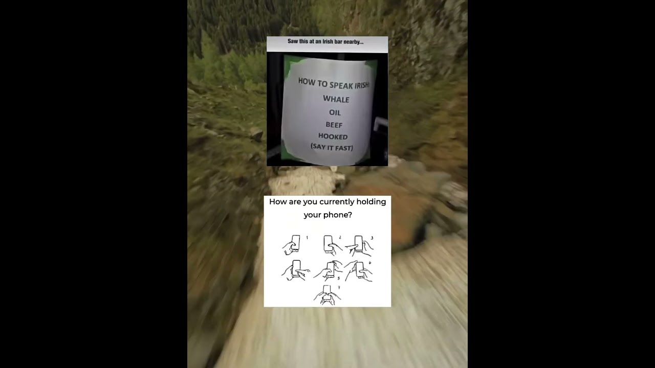 6a Meme Zyxabc Funnyimages Memesdaily