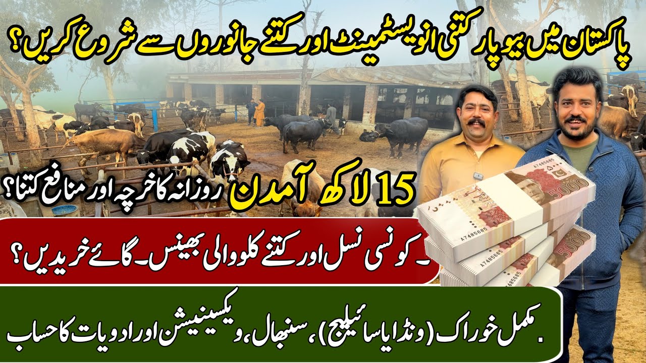 How to start dairy farming | dairy farming business | dairy cow | farmology 