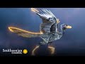 view Winged Dinosaurs Didn’t Use Their Wings Only to Fly 😲 When Whales Walked | Smithsonian Channel digital asset number 1