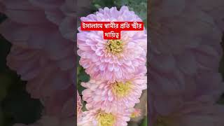 ইসলাম এ স্বামীর প্রতি স্ত্রীর দায়িত্ব wazbangla wazmahfil banglawazmahfil newazhari islamic