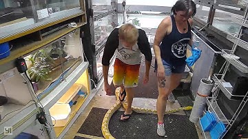 Lilith - 4 year old female mainland reticulated python