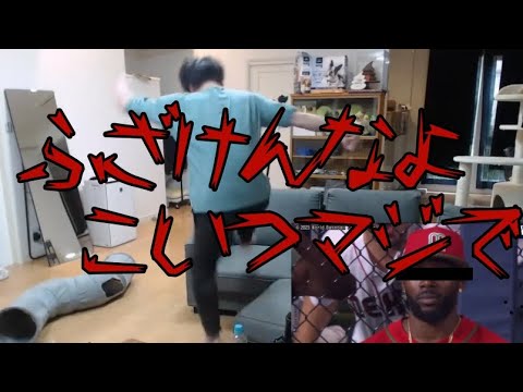 メキシコのレフトに情緒をぐちゃぐちゃにされる加藤純一