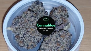 REVIEW in 4k 🧀☁️ #Demecan #craft #zoer0 22:01 #ore0z 22,8% THC #indica #hybrid #Kanada