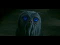 Fantastic beasts and Harry Potter- Animals