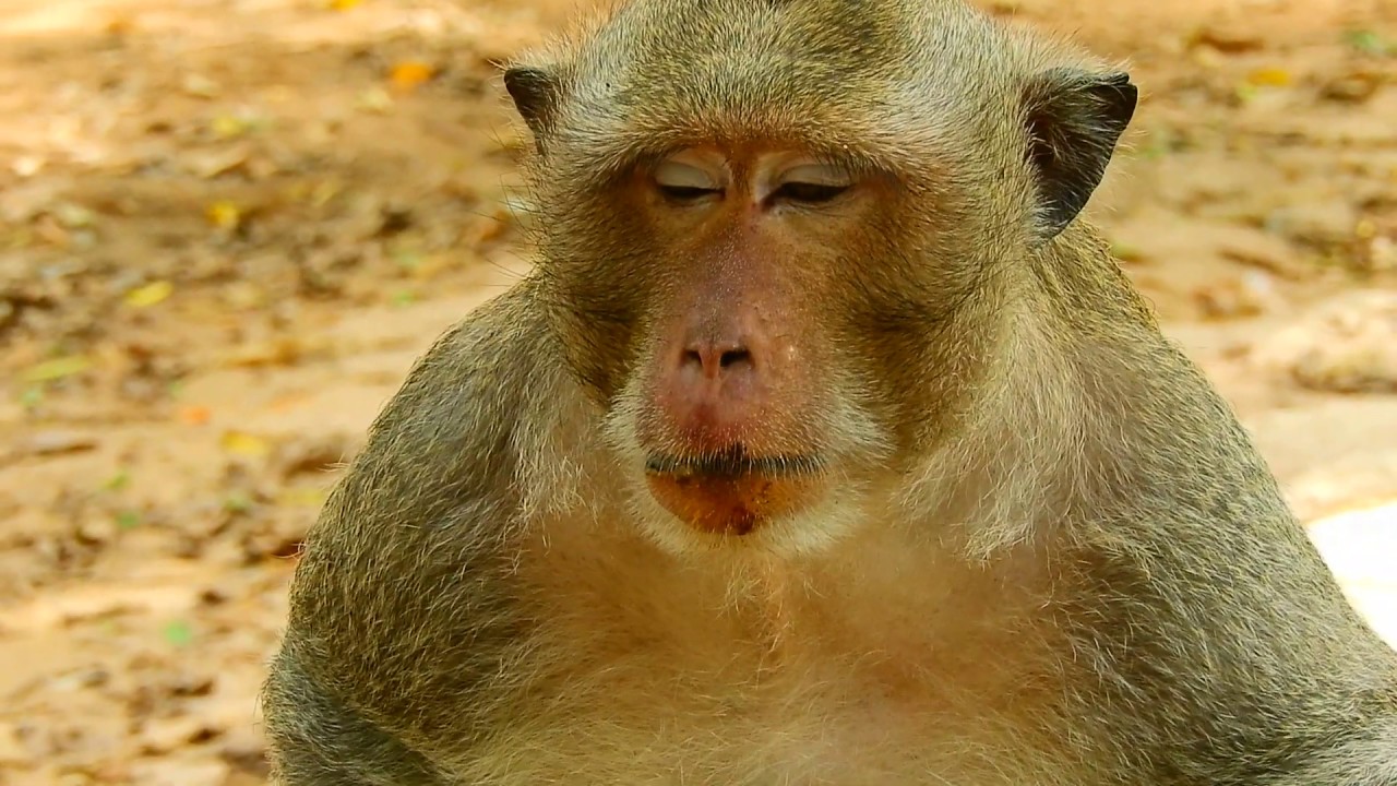 foundation medicine Babies Bother King Sleeping _King Marcus Dont Warning this time, Later