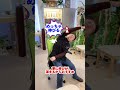猫背、肩こりを秒で治す方法!#肩こり解消 #猫背改善 #ガチガチ背中