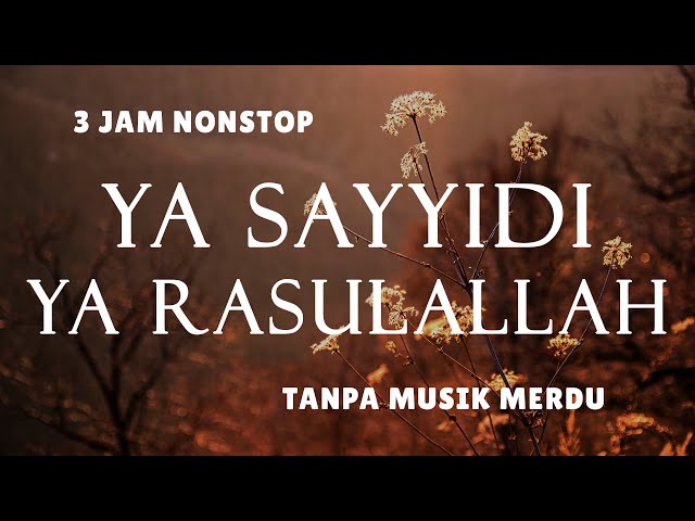 Sholawat Tanpa Musik - Ya Sayyidi Ya Rasulallah || 3 Jam Nonstop class=