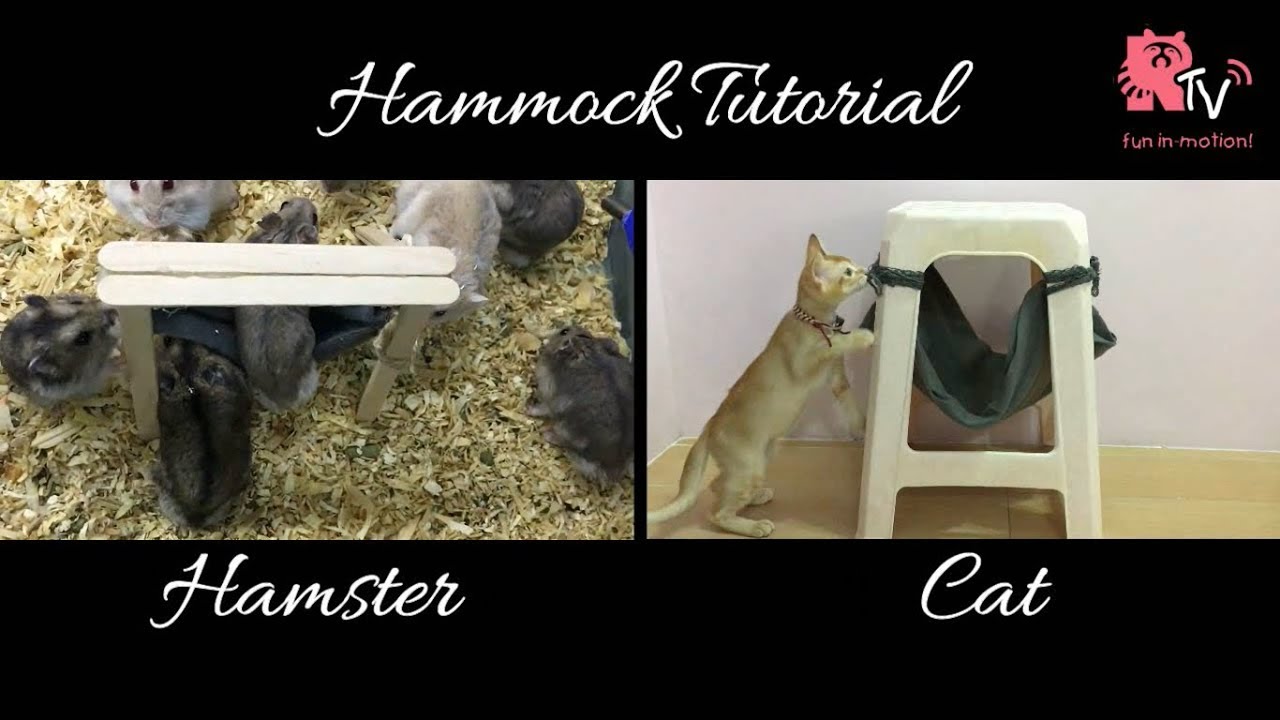 Tutorial Hammock for Hamsters & Cats YouTube