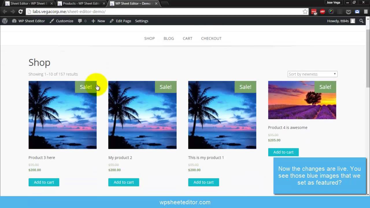 Introducing Wp Sheet Editor Edit Wordpress Posts Pages And Products Easily Youtube