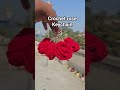 Crochet Rose Keychain 🌹  #crochetbymousumi #Crochet #handcrafted #handm