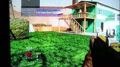 Call of duty black ops split screen mods