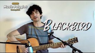 Blackbird - Beatles - Cover