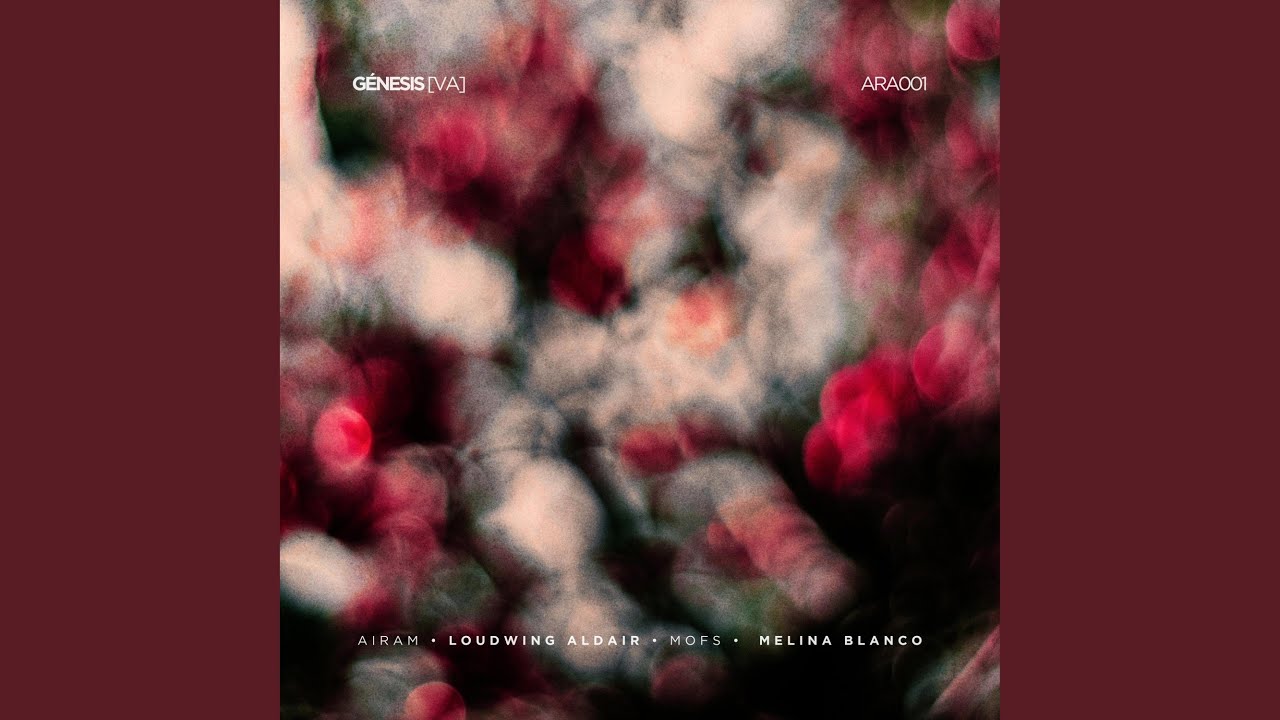 Guarda Nylon su YouTube Guarda Nylon su YouTube