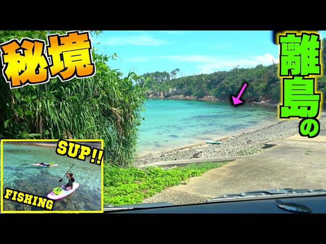 でしょう!