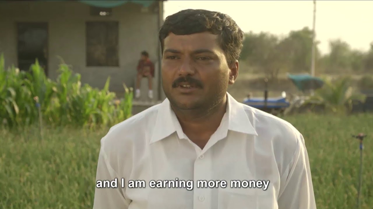 Jain Farm Fresh - Onion Contract Farming