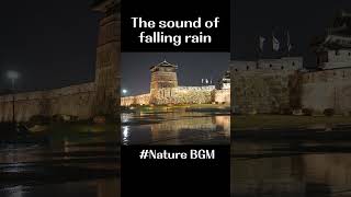 The sound of rain on the walking path / ASMR / Relax, sleep, arms, white noise