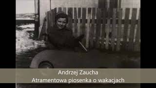 Andrzej Zaucha - Atramentowa piosenka o wakacjach (1989)