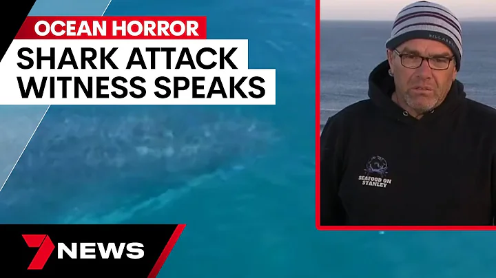 Shark attack witness: "I knew the shark would come to me" | 7 News Australia