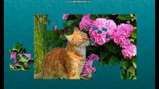 Puzzle865 Cat With Flowers