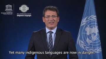 Message from UNESCO on the occasion of IYIL2019