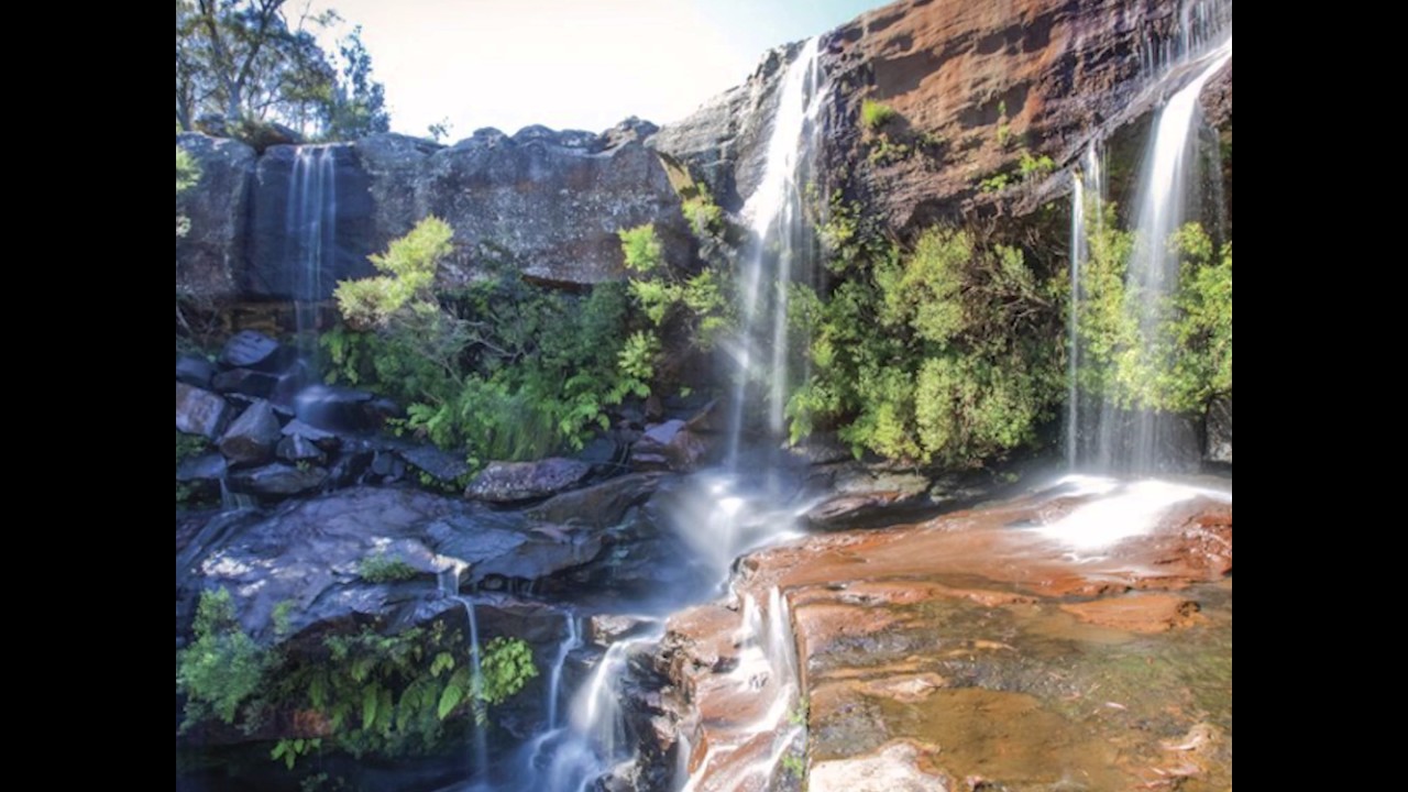 whales breaching Top 7 Mind Blowing Waterfalls in NSW