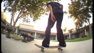 Mikey Taylor Alien Workshop Mindfield 2008