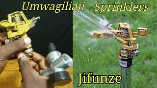 Umwagiliaji kwa njia ya sprinkler irrigation kilimo cha umwagiliaji