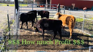 How much Money did we make selling the Dexter Hereford heifers Private Treaty