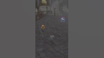 Doakes unleashes explosive sheep on Stormwind bread vendor #turtlewow