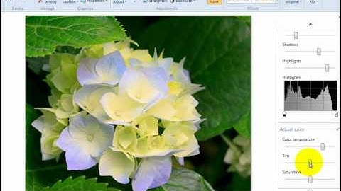 How to edit photos with Windows Live Photo Gallery