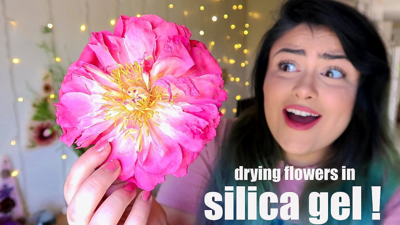 Silica Gel for Drying Flowers