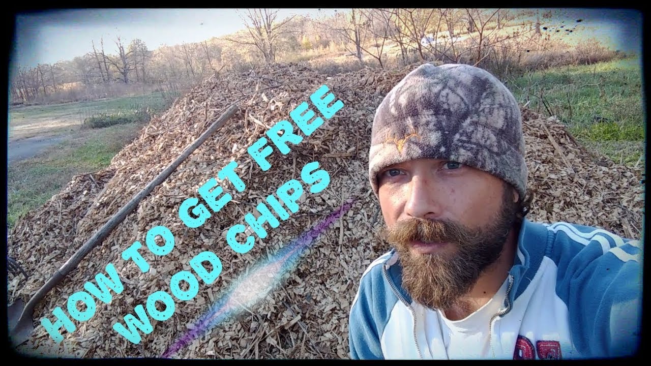 Gardening With Wood Chips & Chickens YouTube