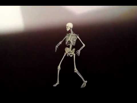Squelette Qui Fait Peur Youtube Squelette Qui Fait Peur Youtube