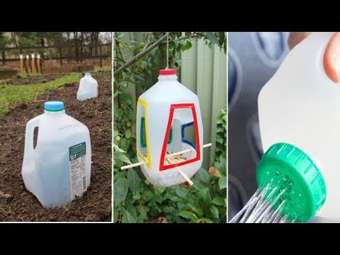 Videó: Tenyészthető-e a tejfű ültetőgépekben – Tudjon meg többet a konténerben termesztett tejfű gondozásáról