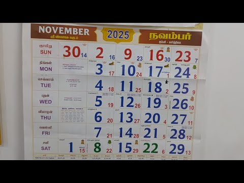  2025        2025 