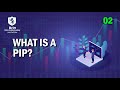 What is pip | Learn Forex in 47 Seconds | Britt Academy
