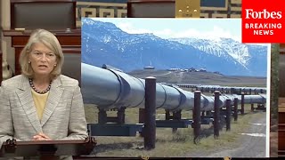 'Biden Administration Is Breaking The Law': Murkowski Says Alaska Could Provide US With Enough Oil