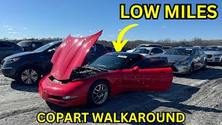 WALKING AROUND THE LOCAL COPART CAN WE FIND A GOOD DEAL