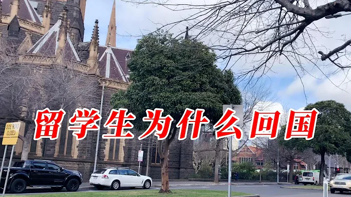 为什么90%的留学生毕业后都会选择回国？难道是因为找不到工作吗？ - 天天要闻