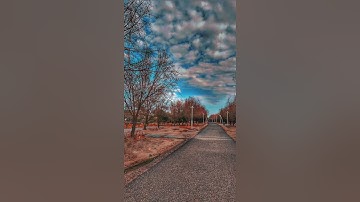 سورة الإخلاص دعاء القنوت صلاة القيام الثلاثاء 23رمضان1445🌙2-4-2024 🎙️فواز محمد الجنفاوي 🕌المطوطح