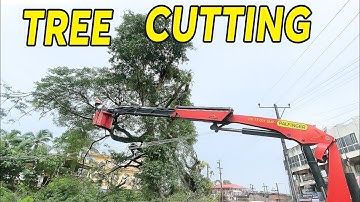 Tree Branch Cutting Near Main Road by MESCOM for Public Safety | Belthangady