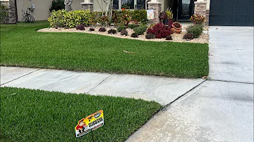 Advice on Florida St Augustine type Lawns - Fungus