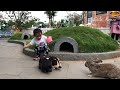 Reaksi Balita Lucu bermain di Halaman Rumah Kelinci | Kenzo Zara | Rabbit House The Village